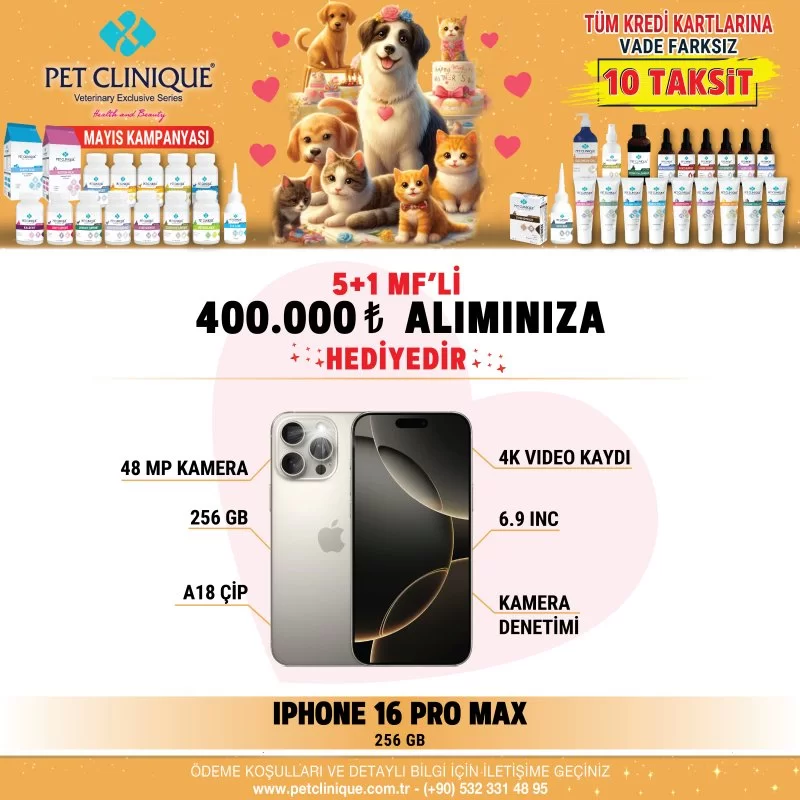iPhone 16 Pro Max 256 GB