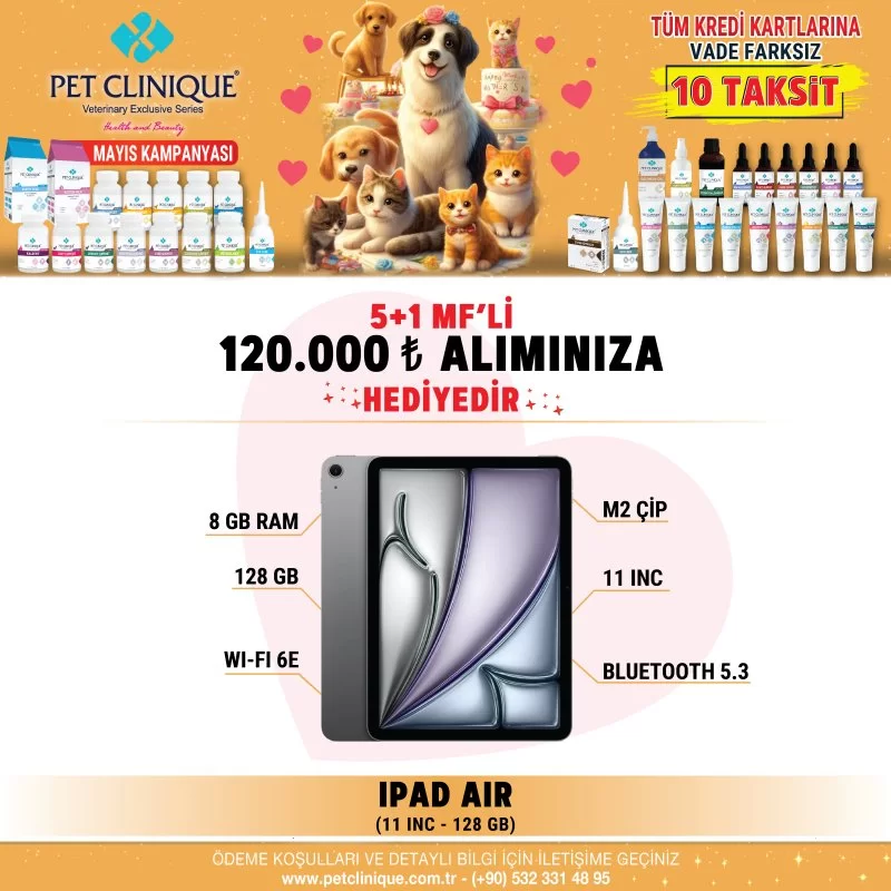 Apple iPad Air 11 İnch