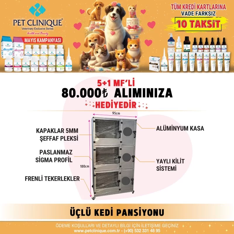 Üçlü kedi pansiyon kafesi