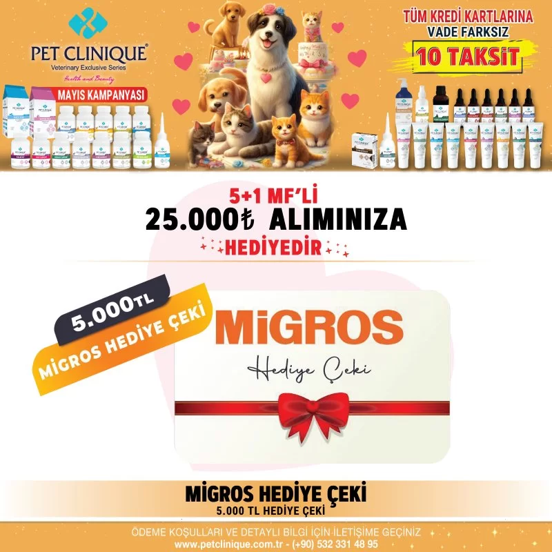 Migros hediye çeki (5000 TL'lik)