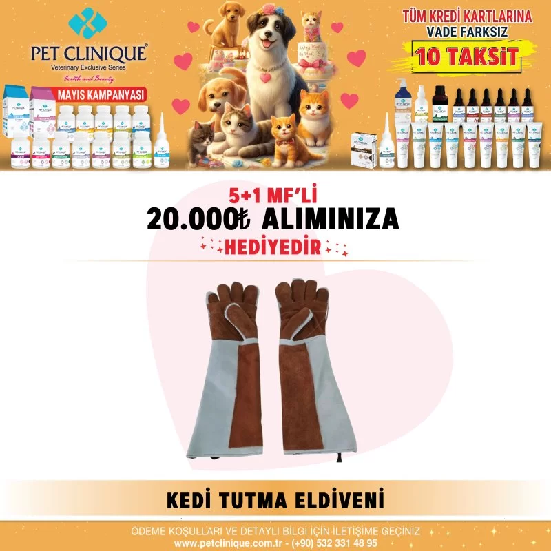 Kedi Tutma Eldiveni